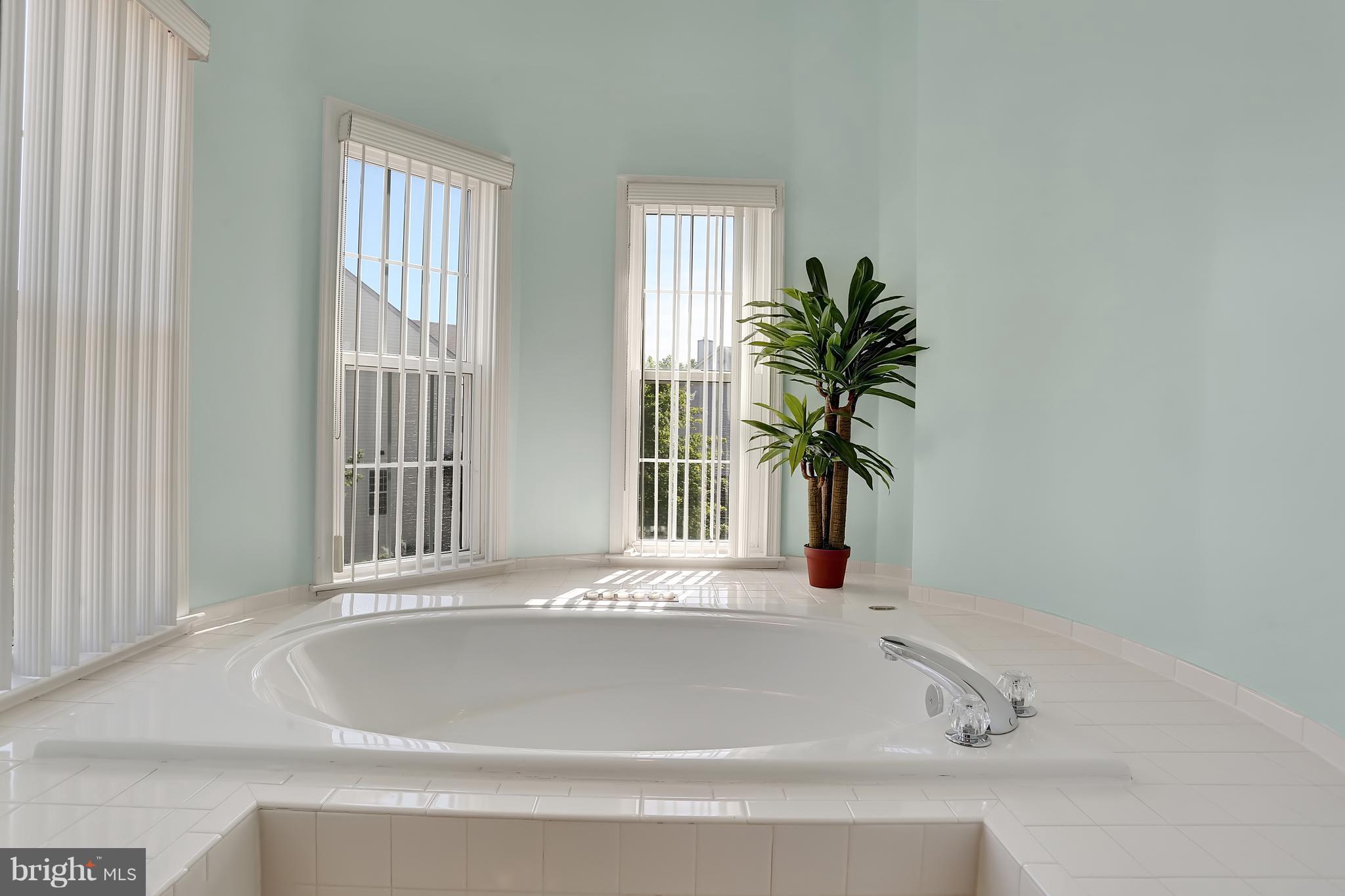 20693 Riptide Square Sterling, VA 20165 - Photo 17 of 30 a bathroom with a bathtub