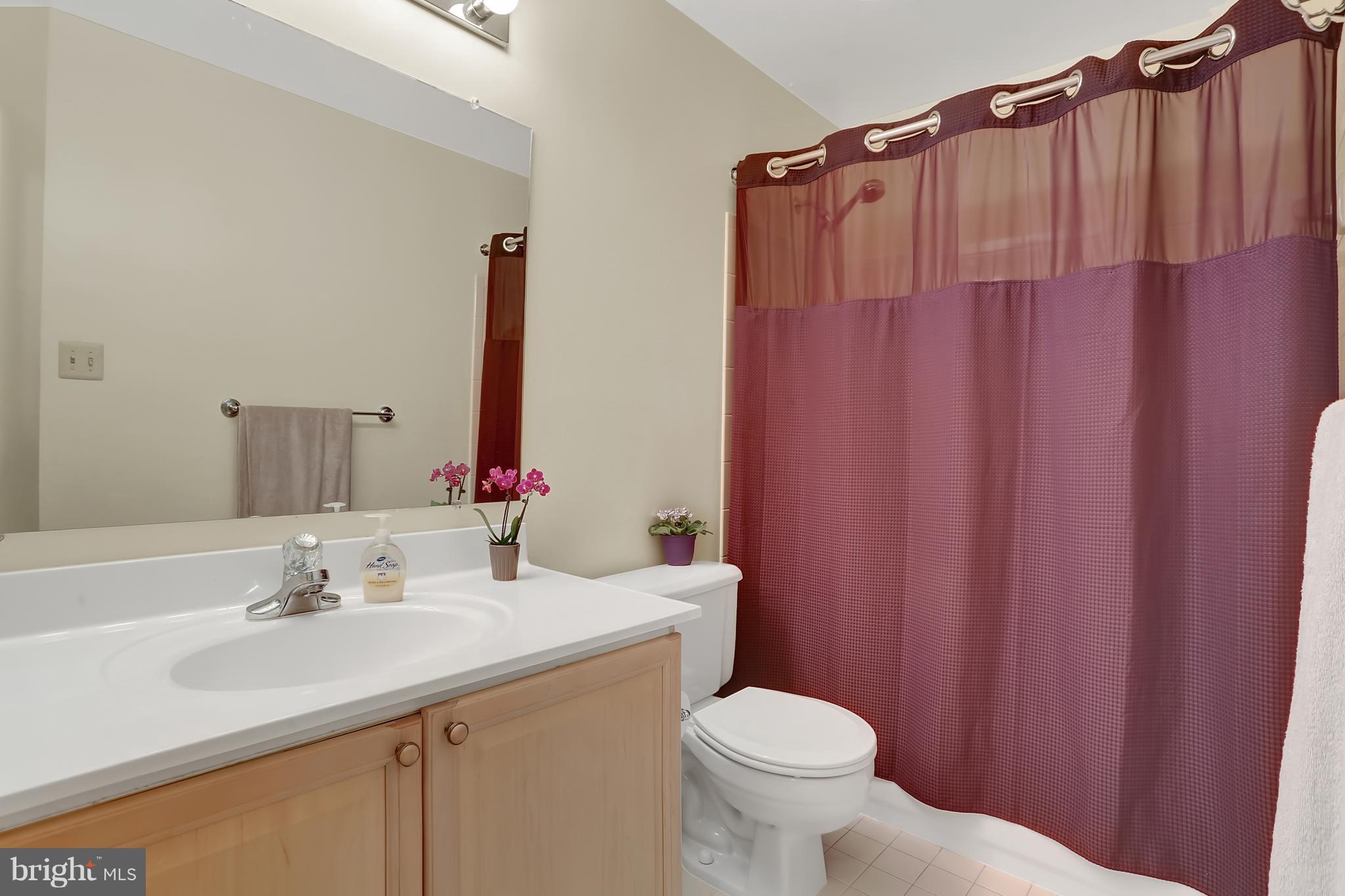 20693 Riptide Square Sterling, VA 20165 - Photo 21 of 30 a bathroom with a sink a toilet and shower