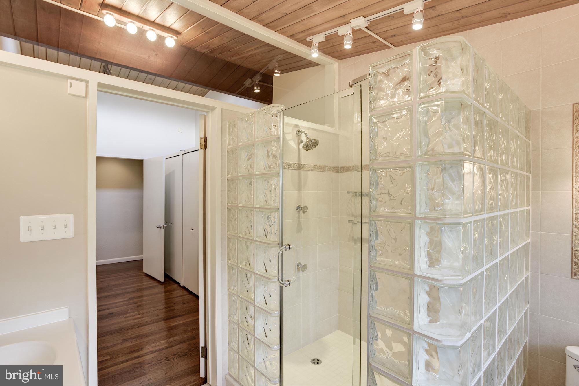 1411 Autumn Leaf Road Baltimore, MD 21286 - Photo 17 of 30 Glass-tiled shower with multi-shower heads