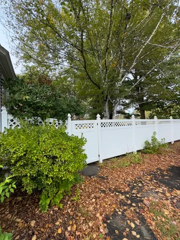 a view of a yard with plants and trees