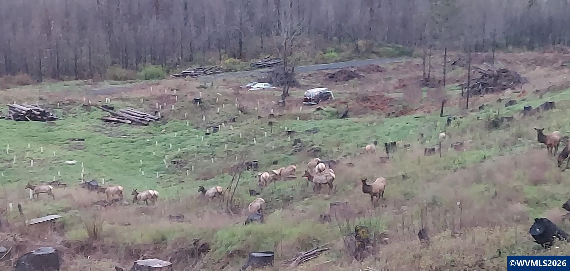 10855 Southeast Kubin Road Lyons, OR 97358 - Photo 19 of 47 Gallery Image 19