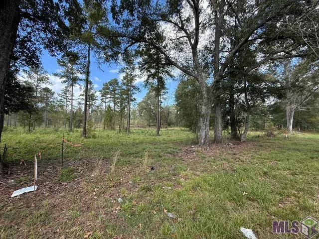 $28,000 | Lot 5 Old Highway, Centreville, MS 39631