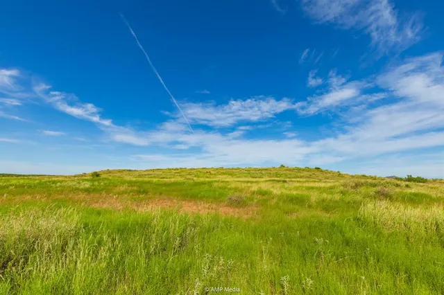 a view of an ocean from a yard