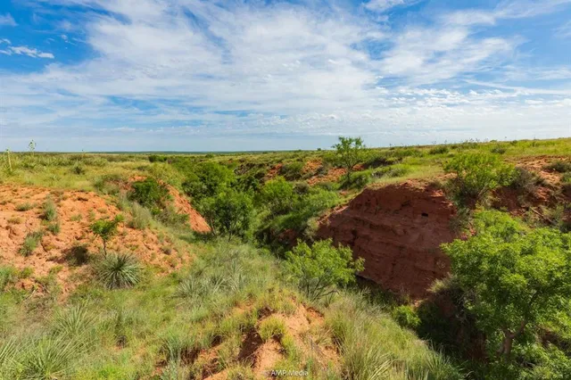 a view of an ocean from a yard