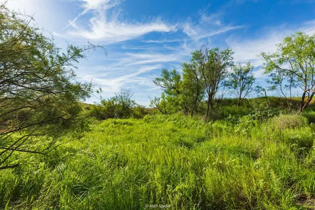 a view of an ocean from a yard
