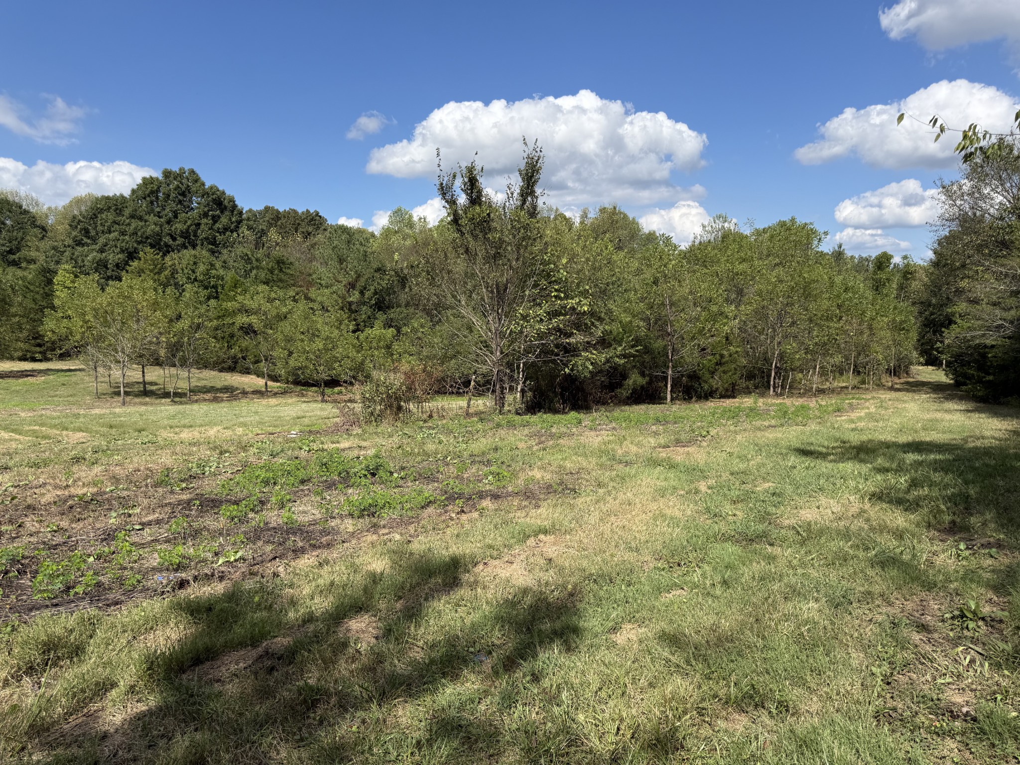 315 Fairfield Road Bethpage, TN 37022 - Photo 11 of 23