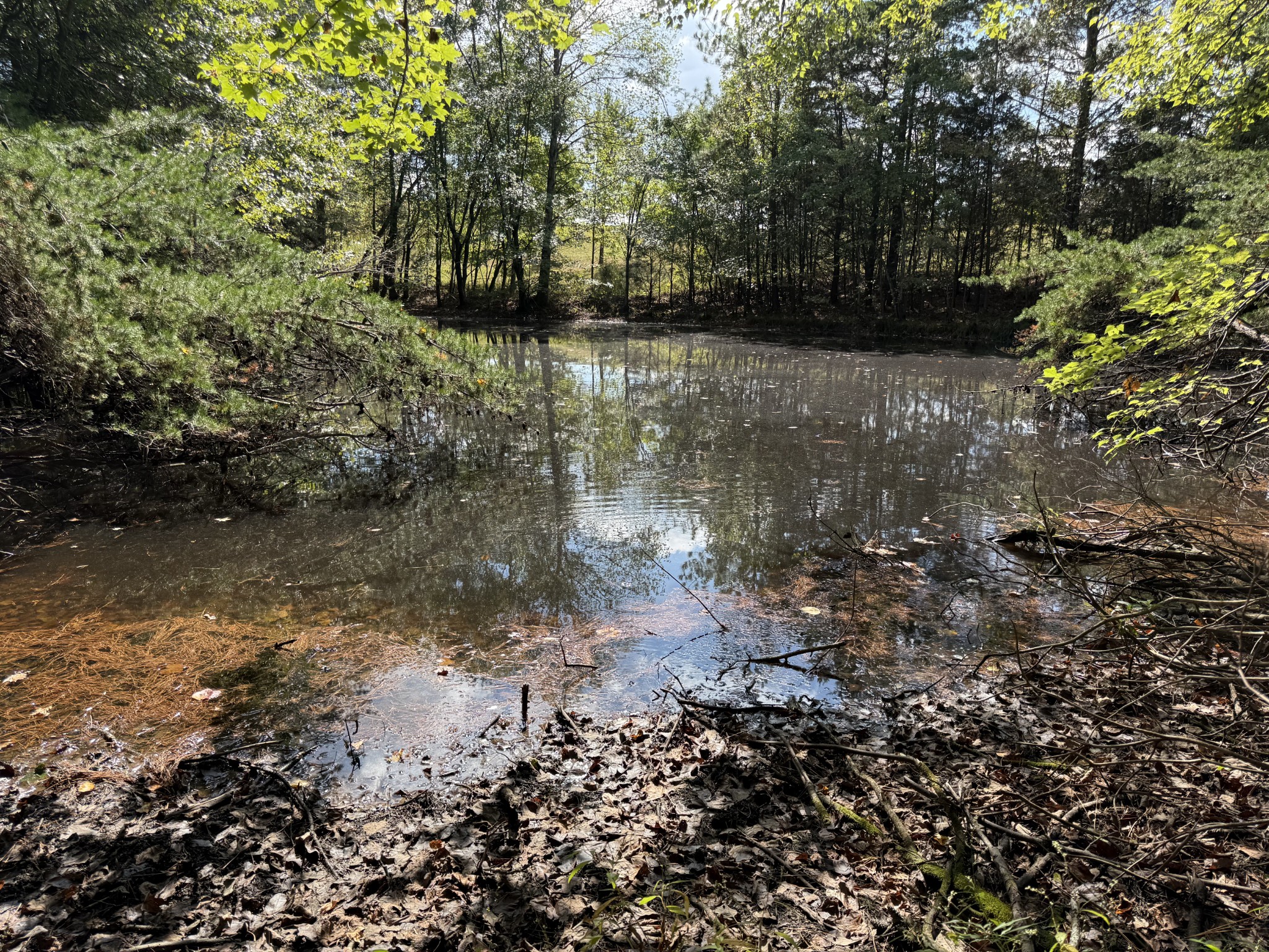 315 Fairfield Road Bethpage, TN 37022 - Photo 13 of 23