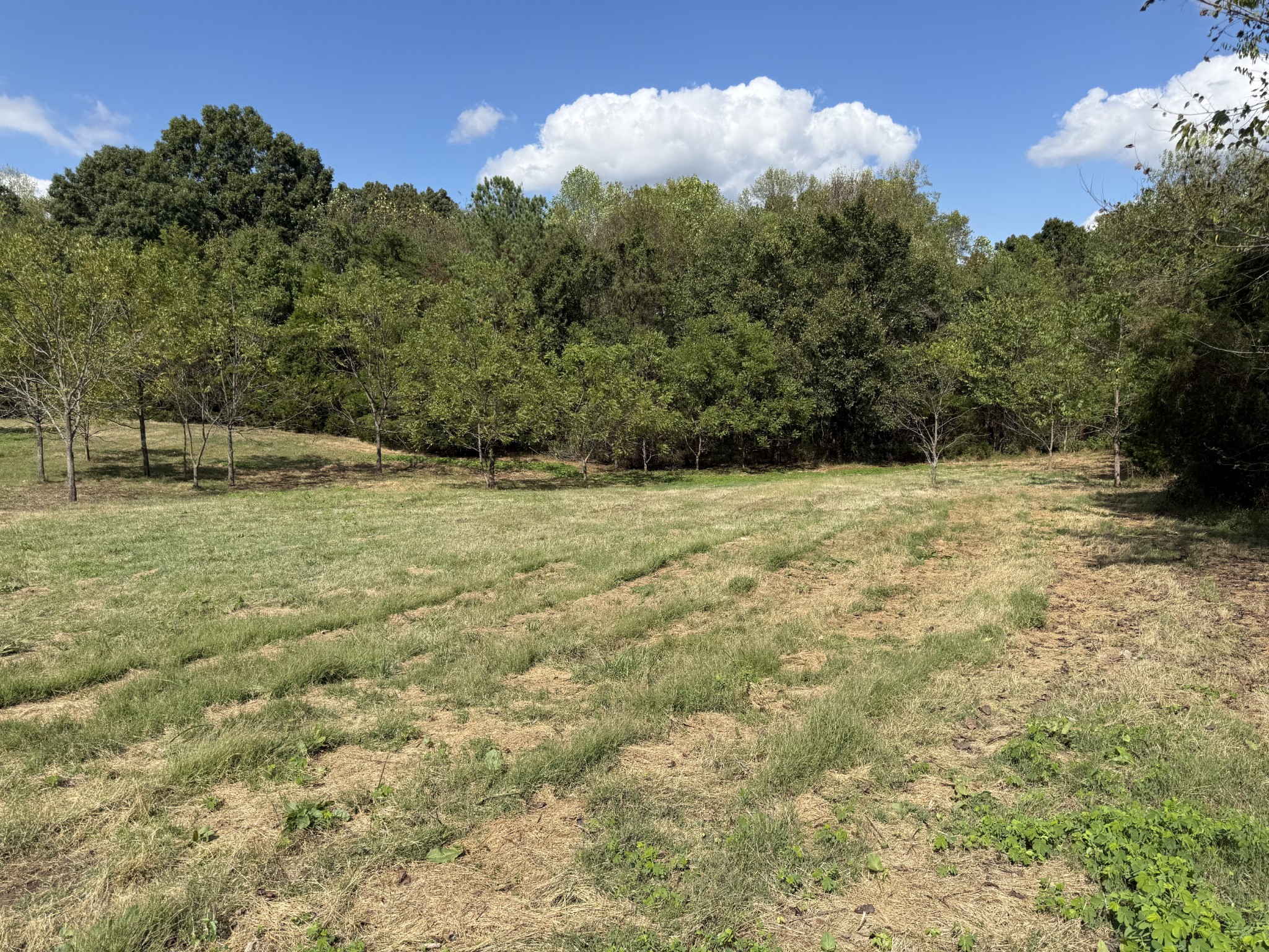 315 Fairfield Road Bethpage, TN 37022 - Photo 14 of 23