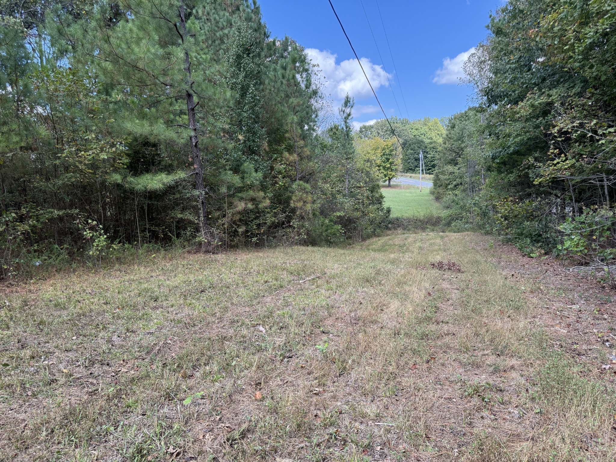 315 Fairfield Road Bethpage, TN 37022 - Photo 15 of 23