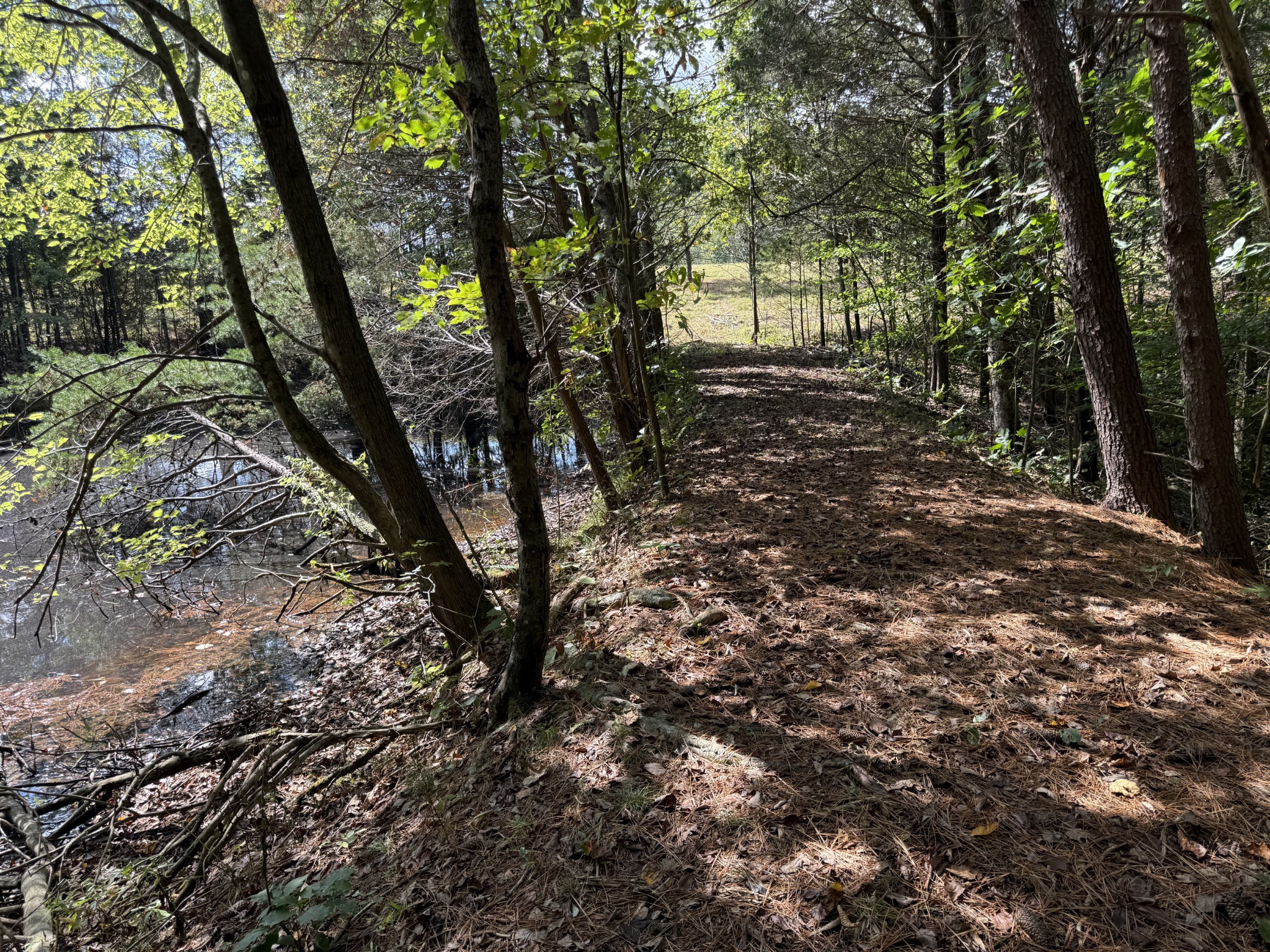 315 Fairfield Road Bethpage, TN 37022 - Photo 16 of 23