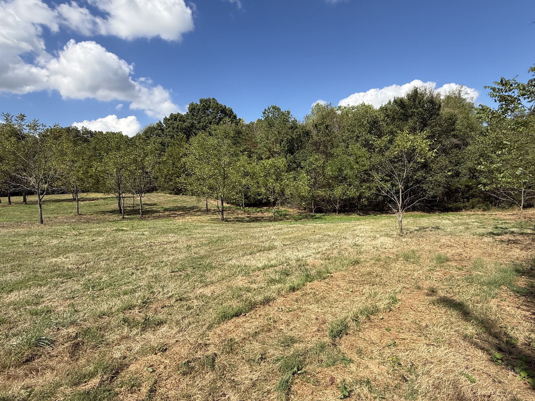 315 Fairfield Road Bethpage, TN 37022 - Photo 17 of 23