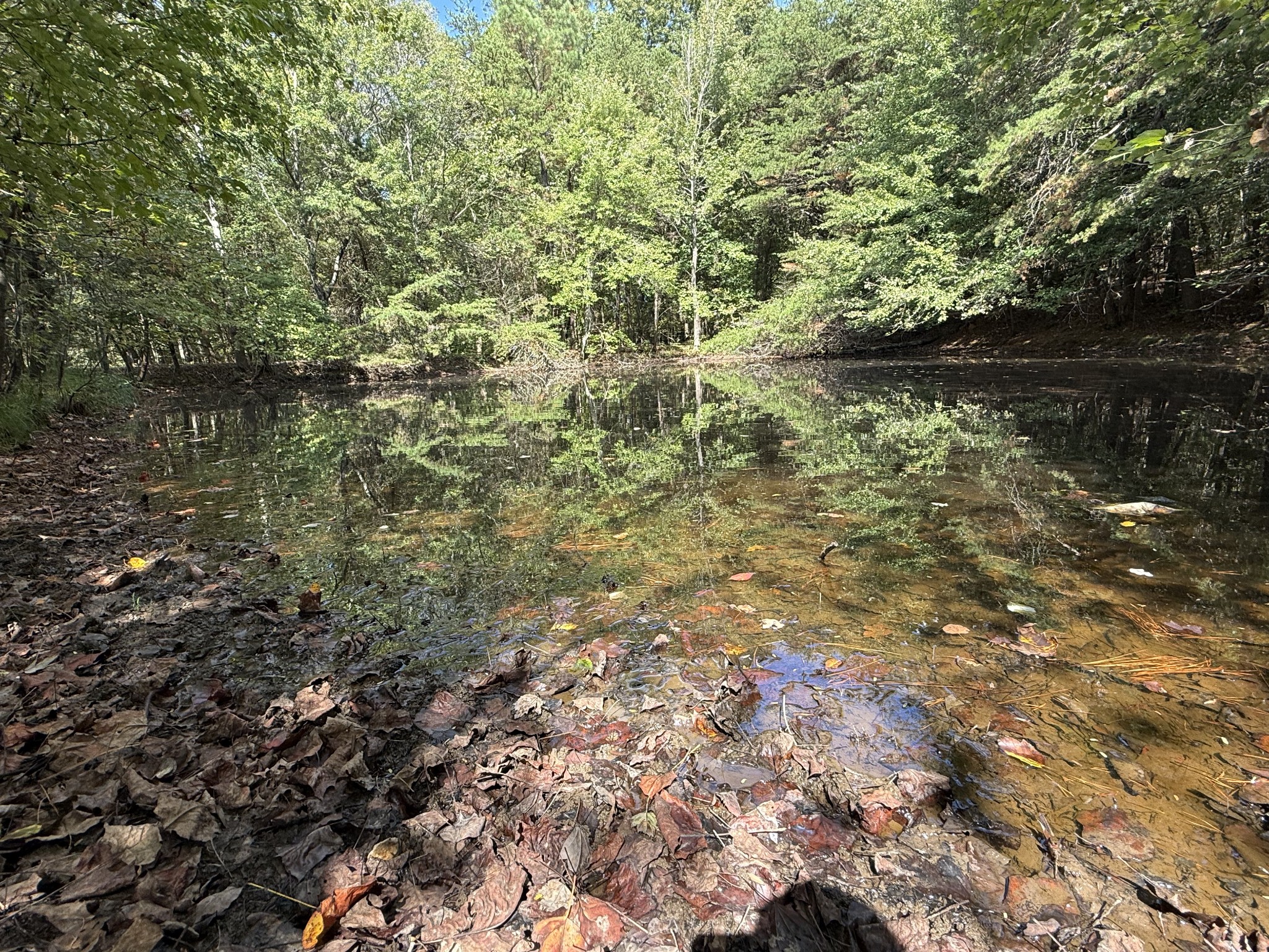 315 Fairfield Road Bethpage, TN 37022 - Photo 18 of 23