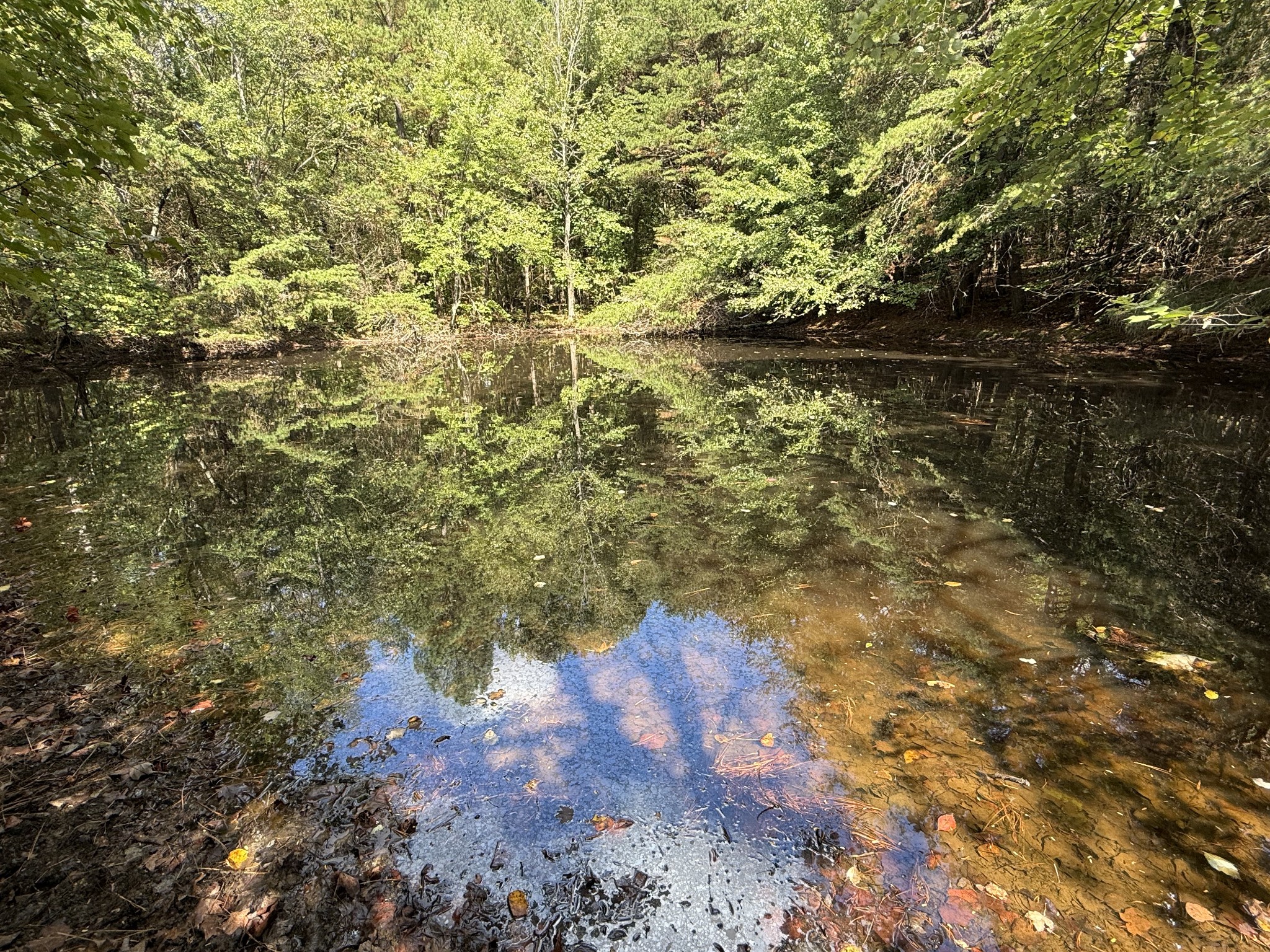 315 Fairfield Road Bethpage, TN 37022 - Photo 19 of 23