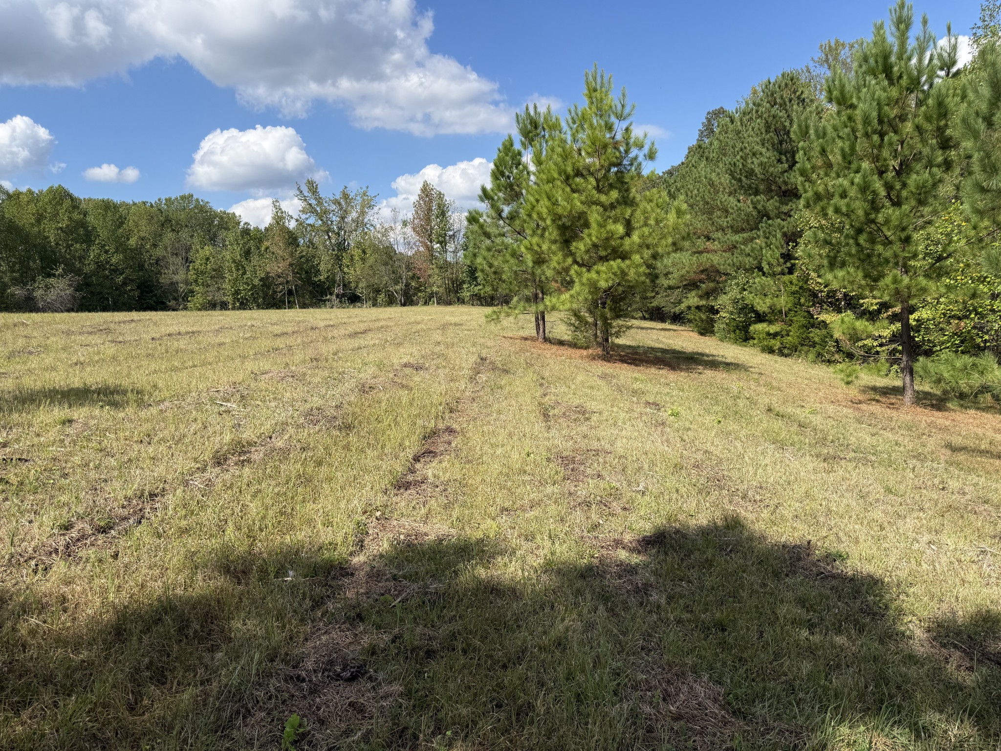 315 Fairfield Road Bethpage, TN 37022 - Photo 20 of 23