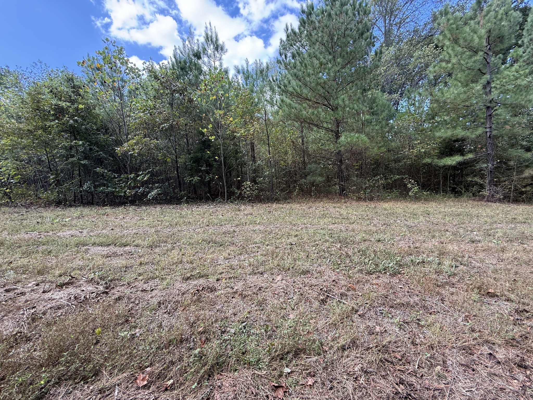 315 Fairfield Road Bethpage, TN 37022 - Photo 2 of 23