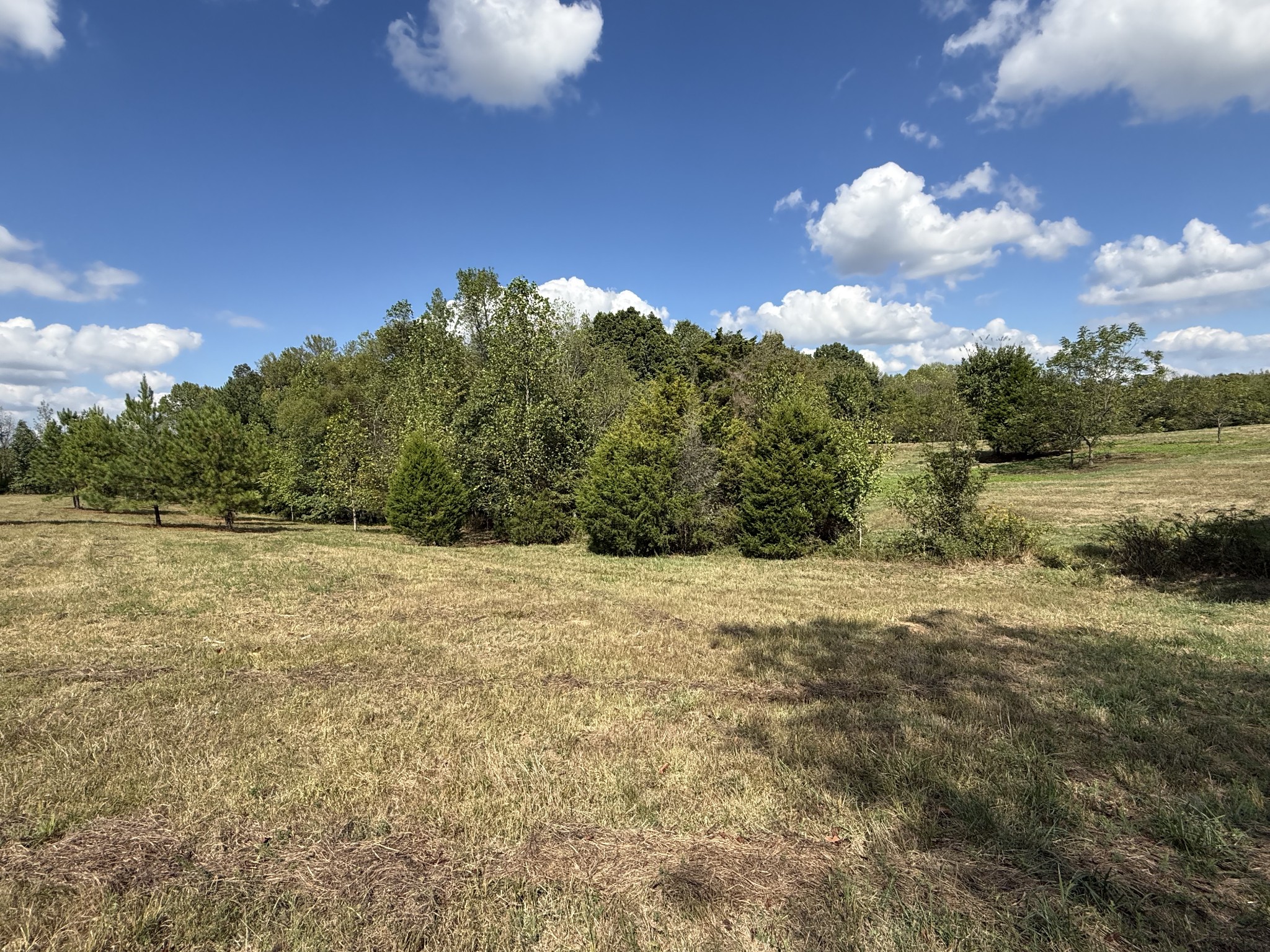 315 Fairfield Road Bethpage, TN 37022 - Photo 21 of 23