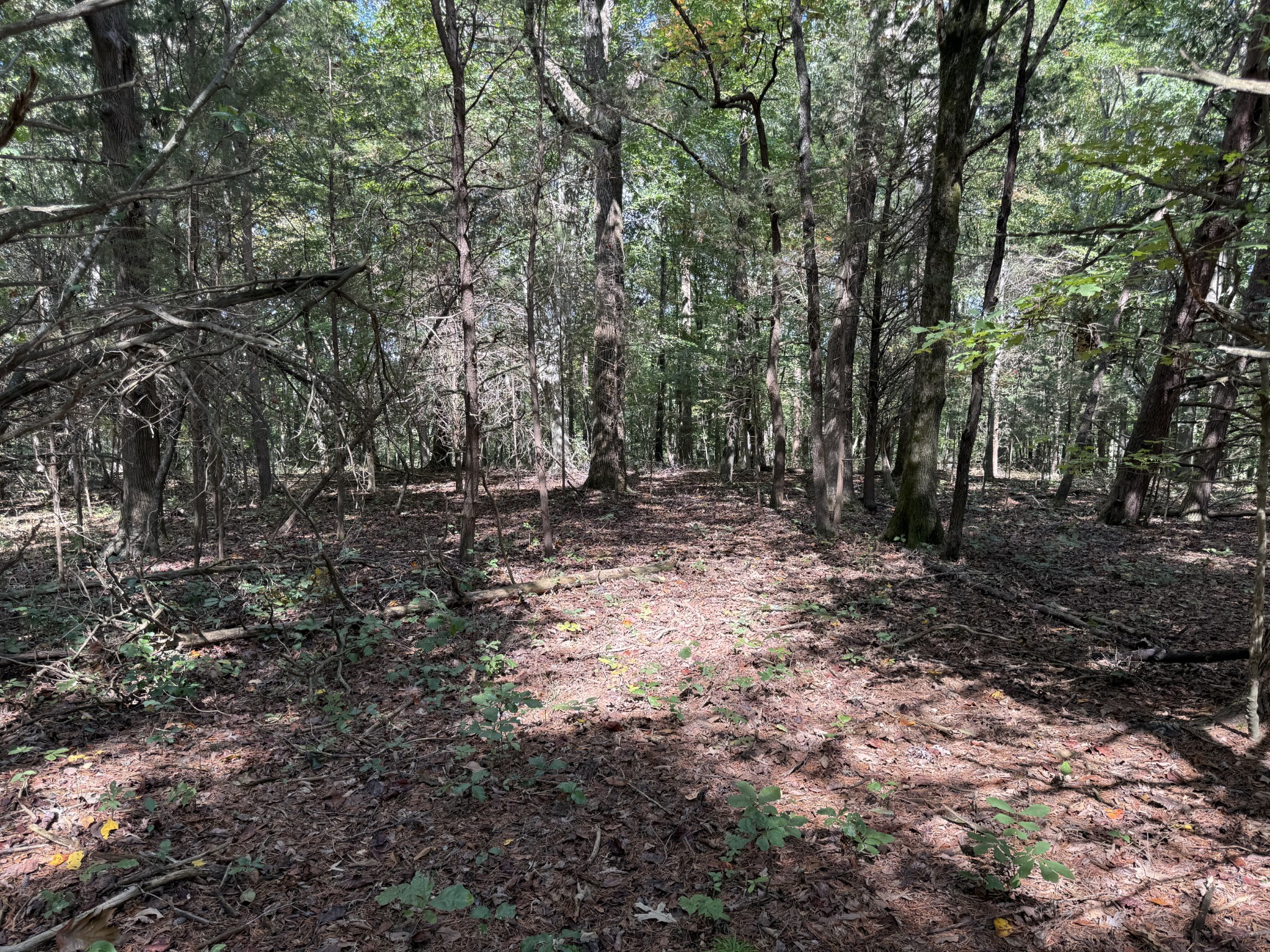 315 Fairfield Road Bethpage, TN 37022 - Photo 7 of 23