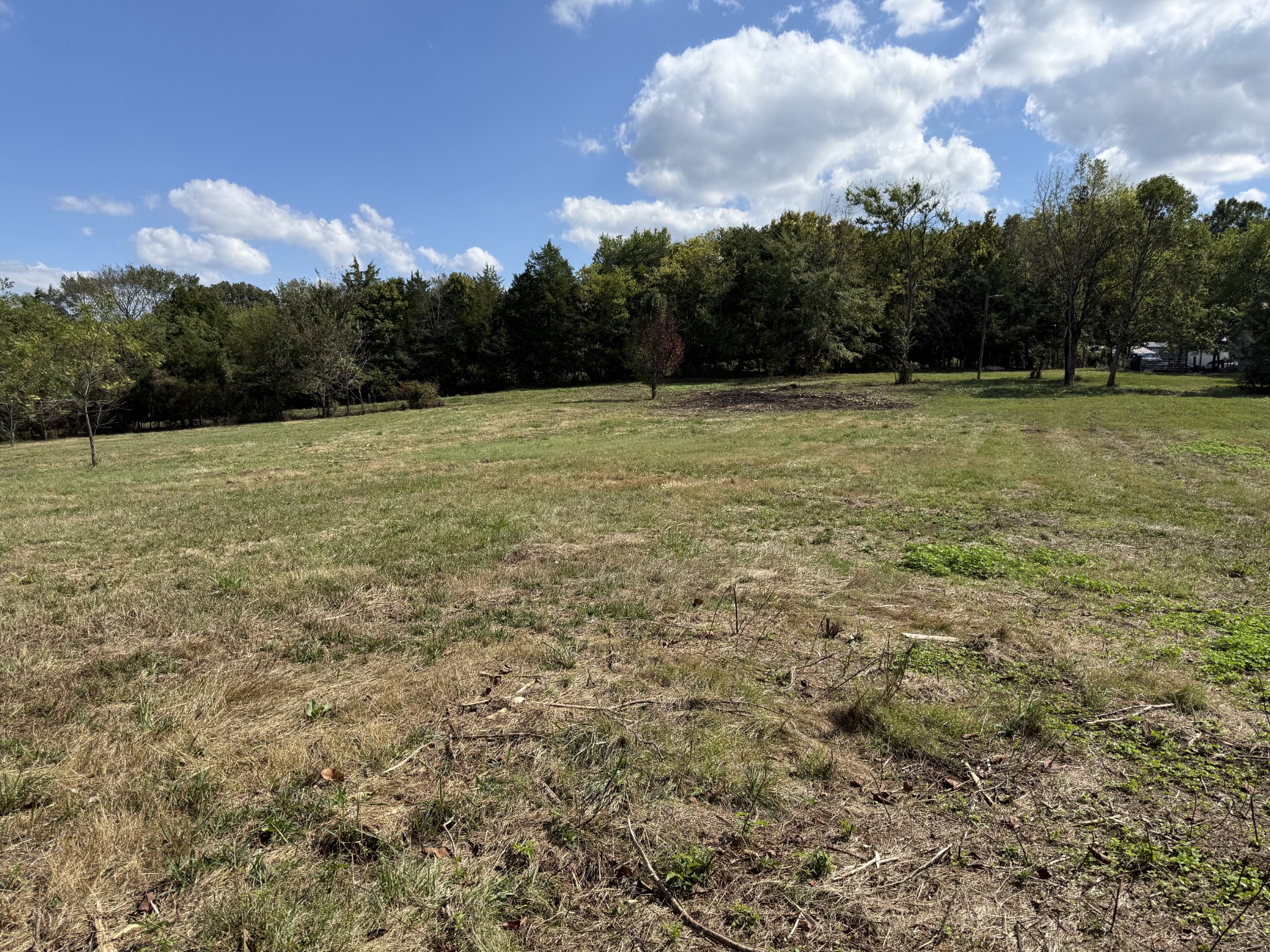 315 Fairfield Road Bethpage, TN 37022 - Photo 8 of 23