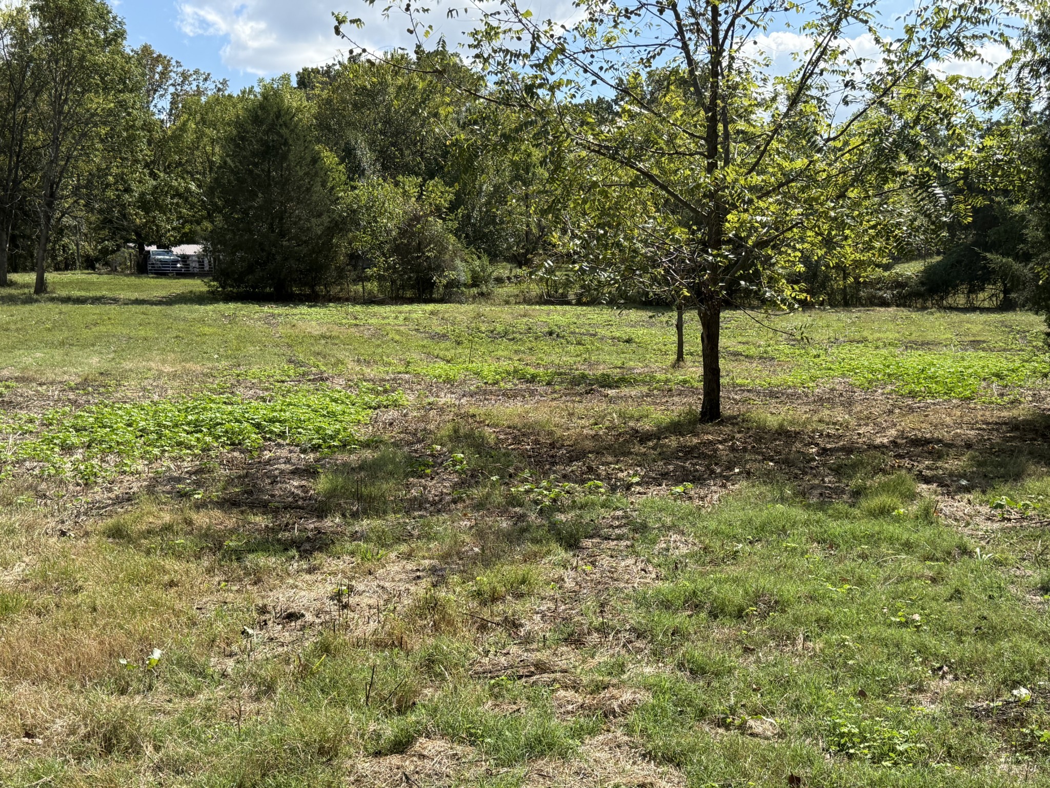 315 Fairfield Road Bethpage, TN 37022 - Photo 10 of 23