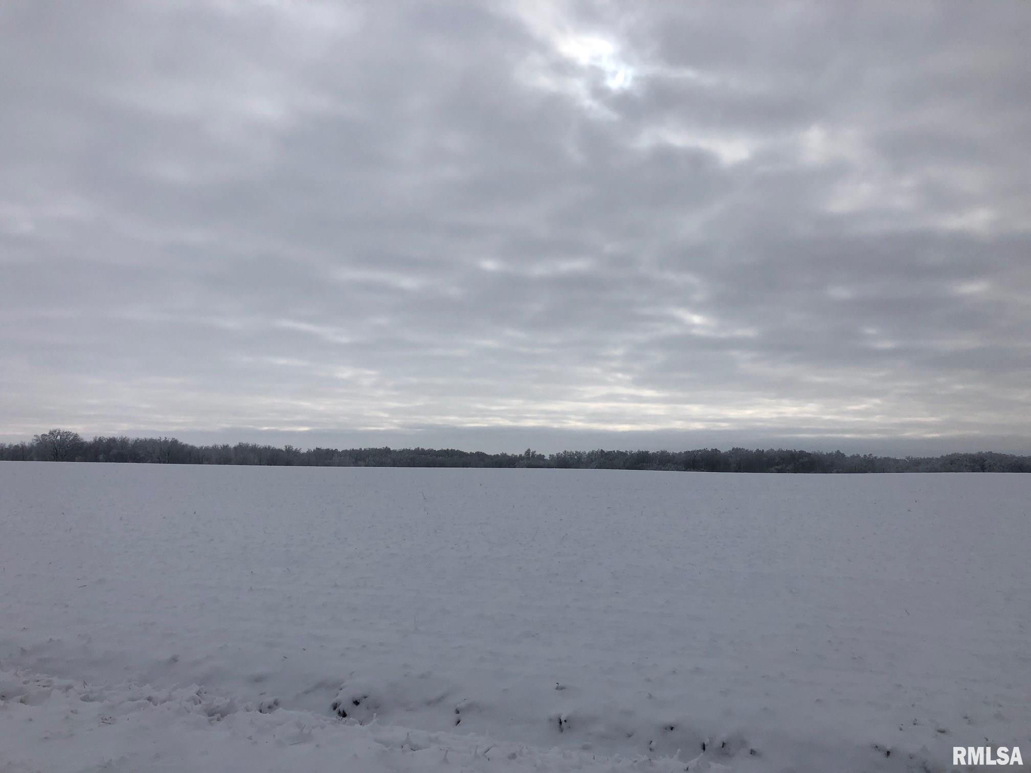 0 Tazewood Road Washington, IL 61571 - Photo 1 of 1 Gallery Image 1
