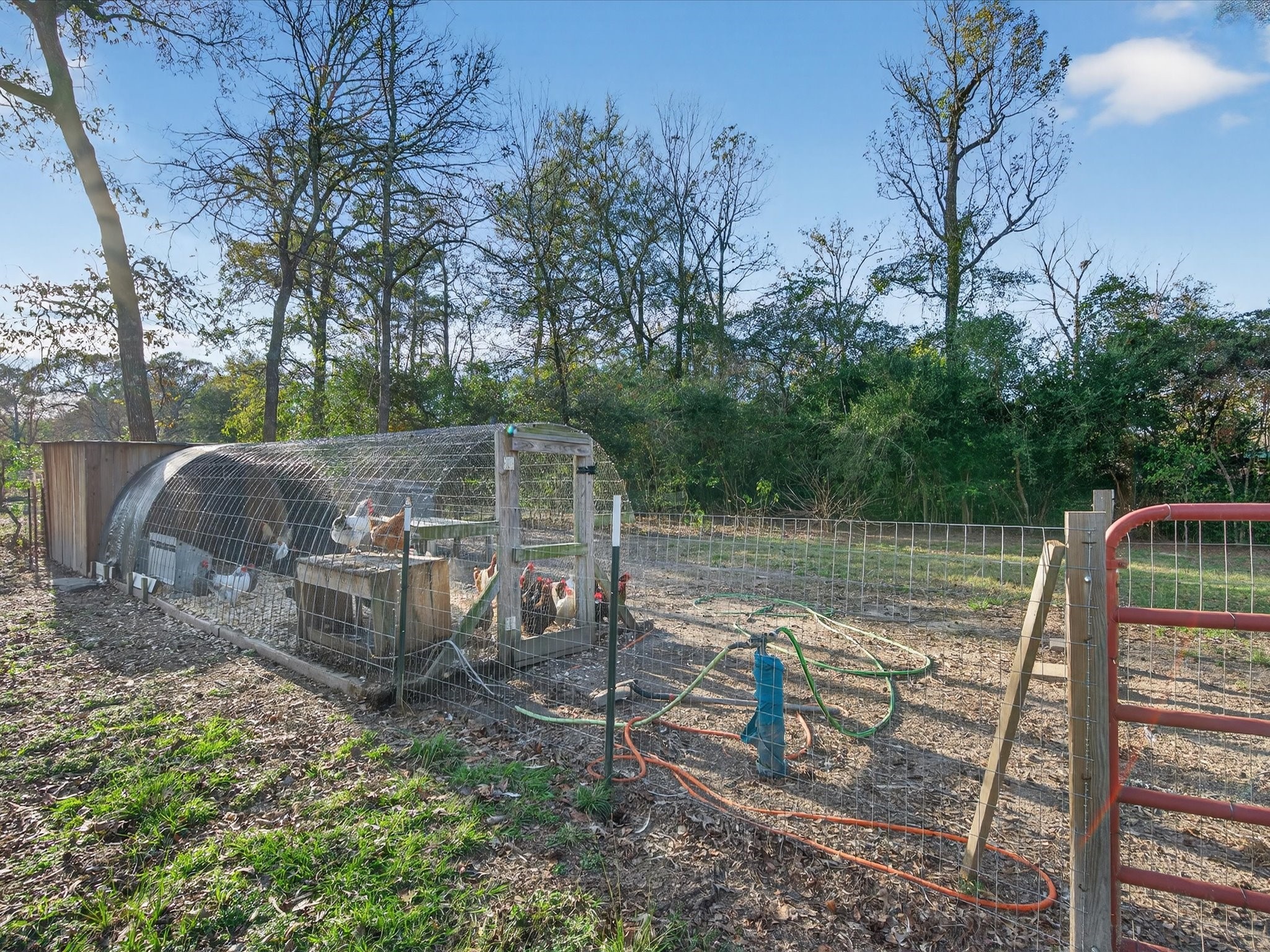 10277 Champion Forest Loop Conroe, TX 77303 - Photo 41 of 45 a view of a small deck with table and chairs potted plants and large tree