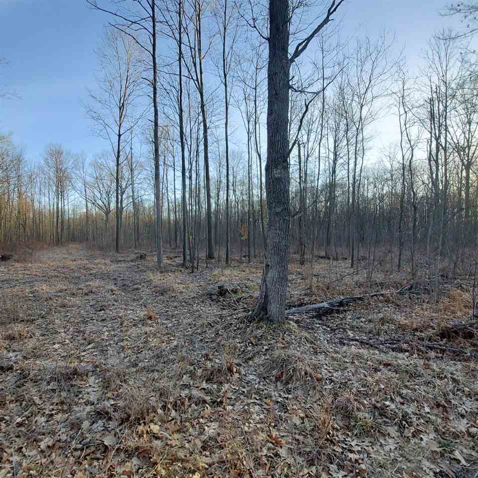 Tbd West Burns Road Coleman, MI 48618 - Photo 2 of 6