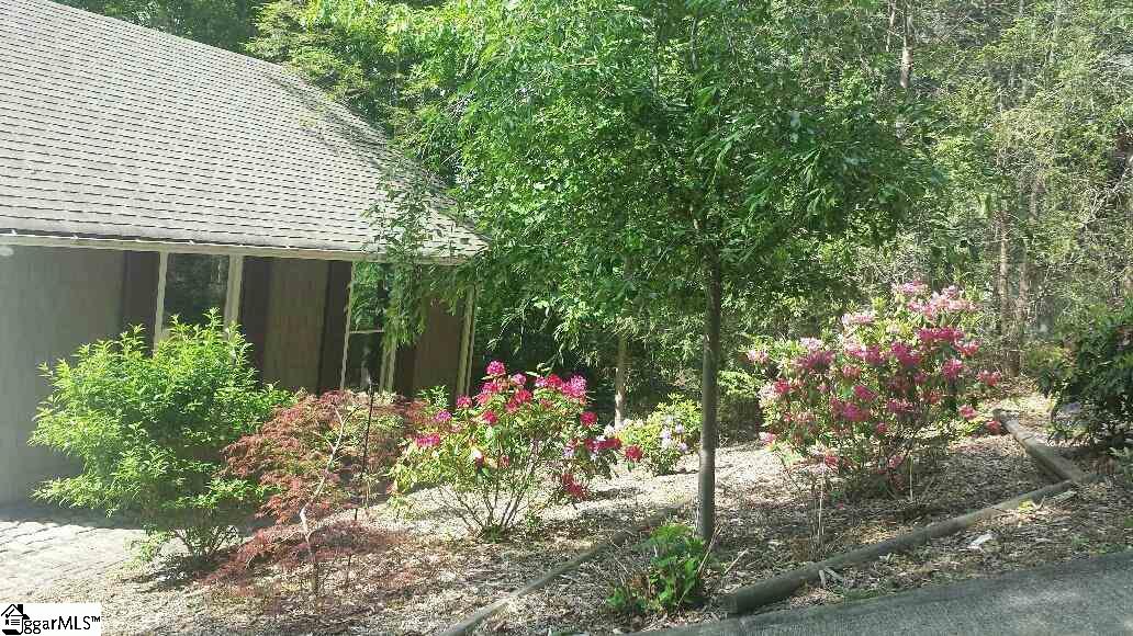 22 Chestnut Bluff Cleveland, SC 29635 - Photo 3 of 24 Gallery Image 3