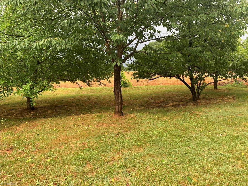 5947 Poley Road Browns Summit, NC 27214 - Photo 21 of 31