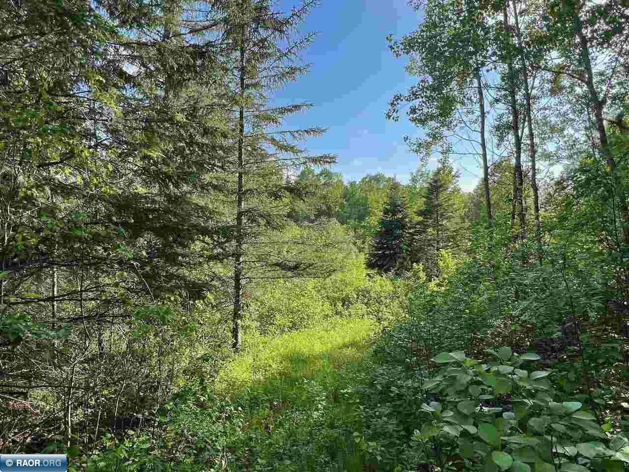 Tbd Willow River Road Orr, MN 55771 - Photo 11 of 15