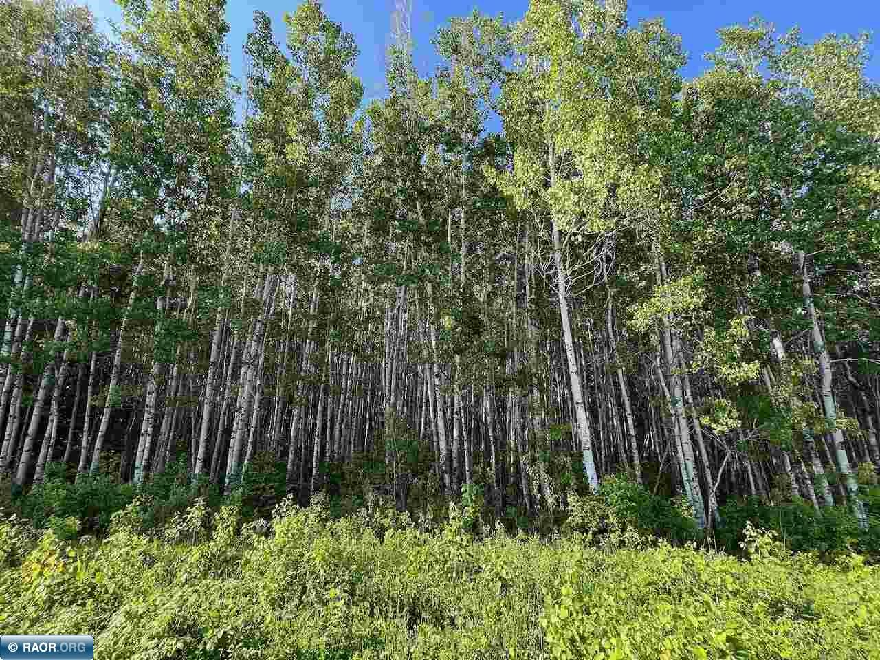 Tbd Willow River Road Orr, MN 55771 - Photo 12 of 15