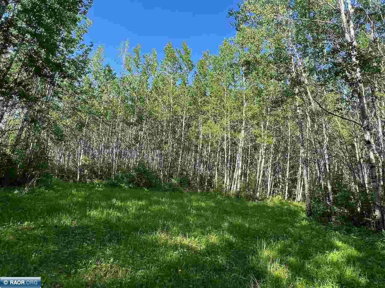 Tbd Willow River Road Orr, MN 55771 - Photo 10 of 15