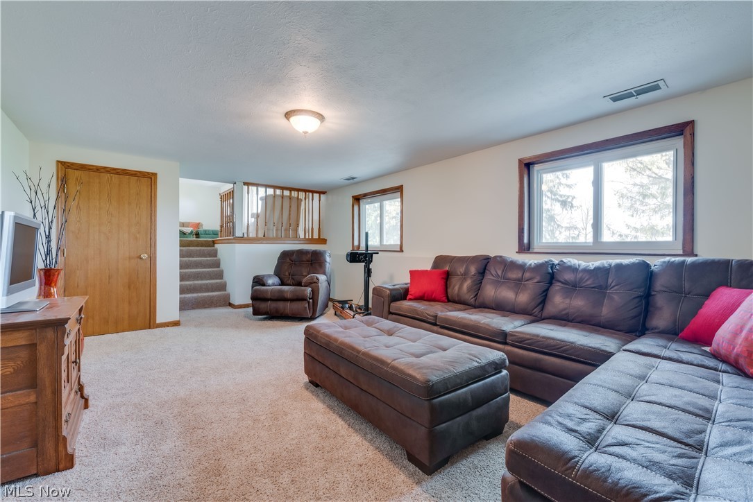 8123 Tower Road Seville, OH 44273 - Photo 17 of 30