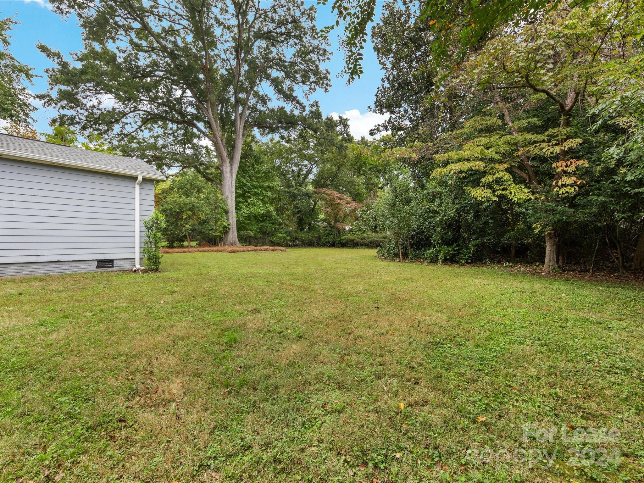 4411 Castleton Road Charlotte, NC 28211 - Photo 43 of 45 a view of a backyard with a garden