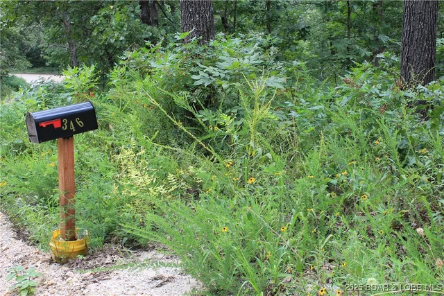 $15,000 | 346 Blackberry Road, Macks Creek, MO 65786