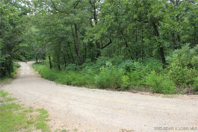 $15,000 | 346 Blackberry Road, Macks Creek, MO 65786