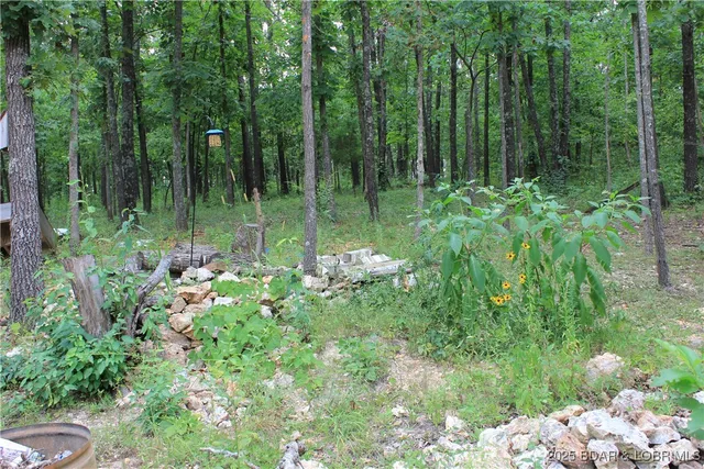 $15,000 | 346 Blackberry Road, Macks Creek, MO 65786