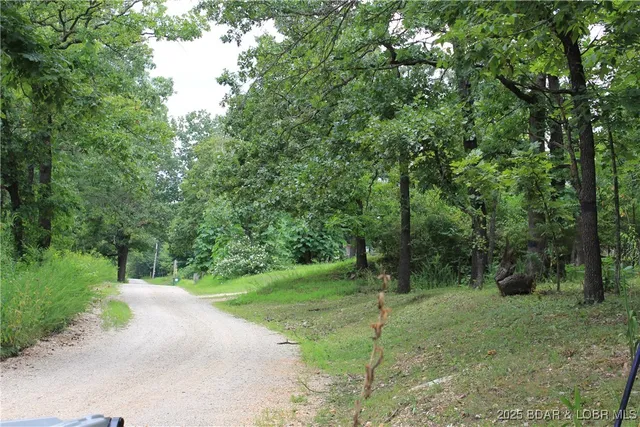 $15,000 | 346 Blackberry Road, Macks Creek, MO 65786