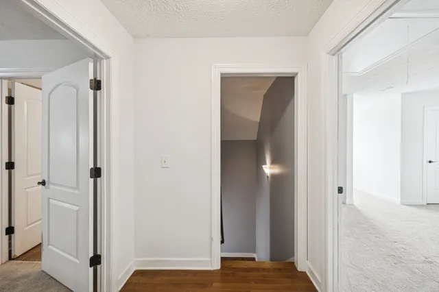 a view of a yard with trees