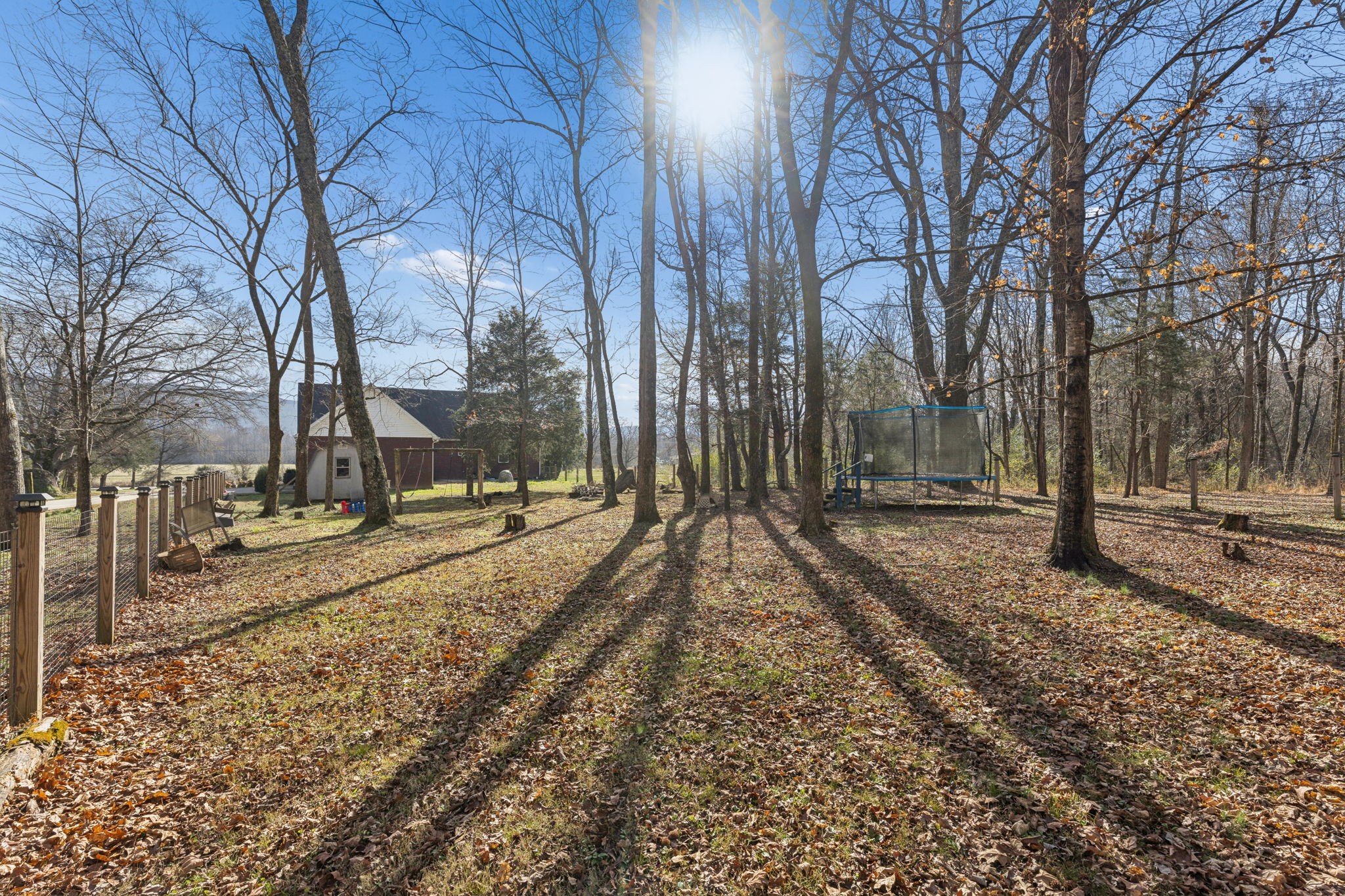 5453 Hillsboro Viola Road Manchester, TN 37355 - Photo 42 of 49 a view of a yard with trees