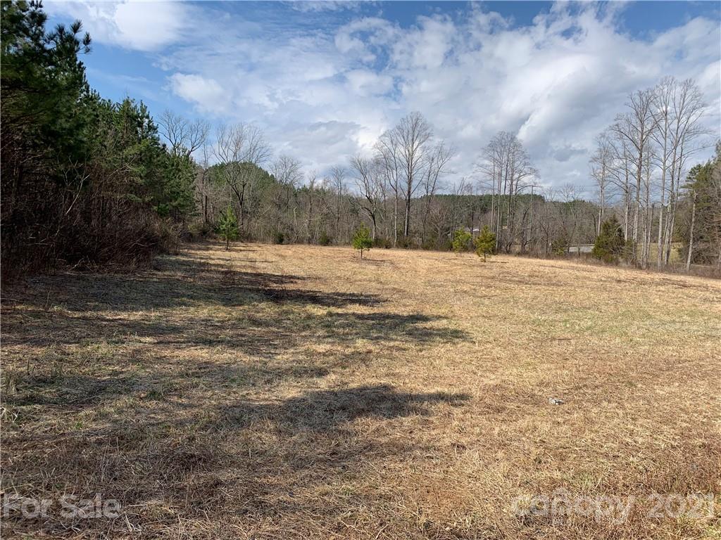 999 Holbert Cove Road, Unit 4 Saluda, NC 28773 - Photo 1 of 14 a street view with large trees
