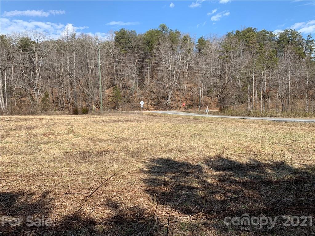 999 Holbert Cove Road, Unit 4 Saluda, NC 28773 - Photo 2 of 14 a view of a yard with trees in the background