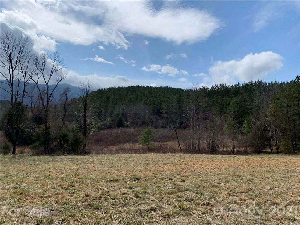 999 Holbert Cove Road, Unit 4 Saluda, NC 28773 - Photo 11 of 14 a view of backyard with green space