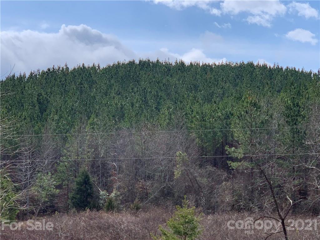 999 Holbert Cove Road, Unit 4 Saluda, NC 28773 - Photo 12 of 14 a view of a field
