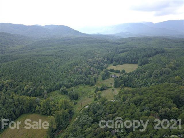 999 Holbert Cove Road, Unit 4 Saluda, NC 28773 - Photo 14 of 14 a view of a city with lush green forest