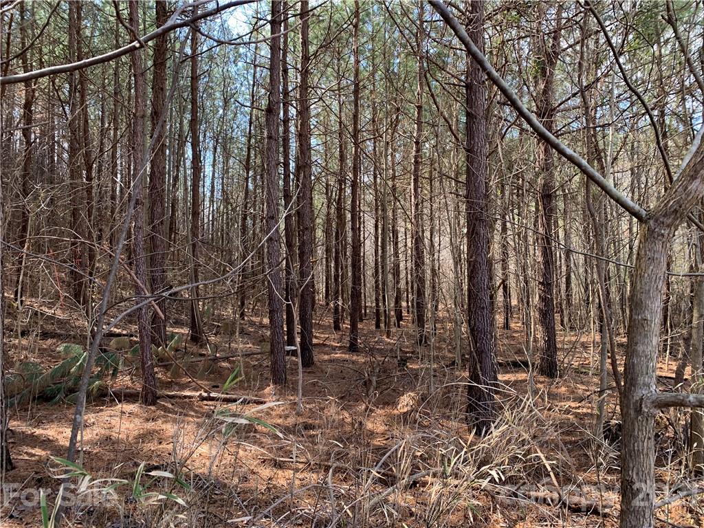999 Holbert Cove Road, Unit 4 Saluda, NC 28773 - Photo 3 of 14 a view of outdoor space with wooden fence