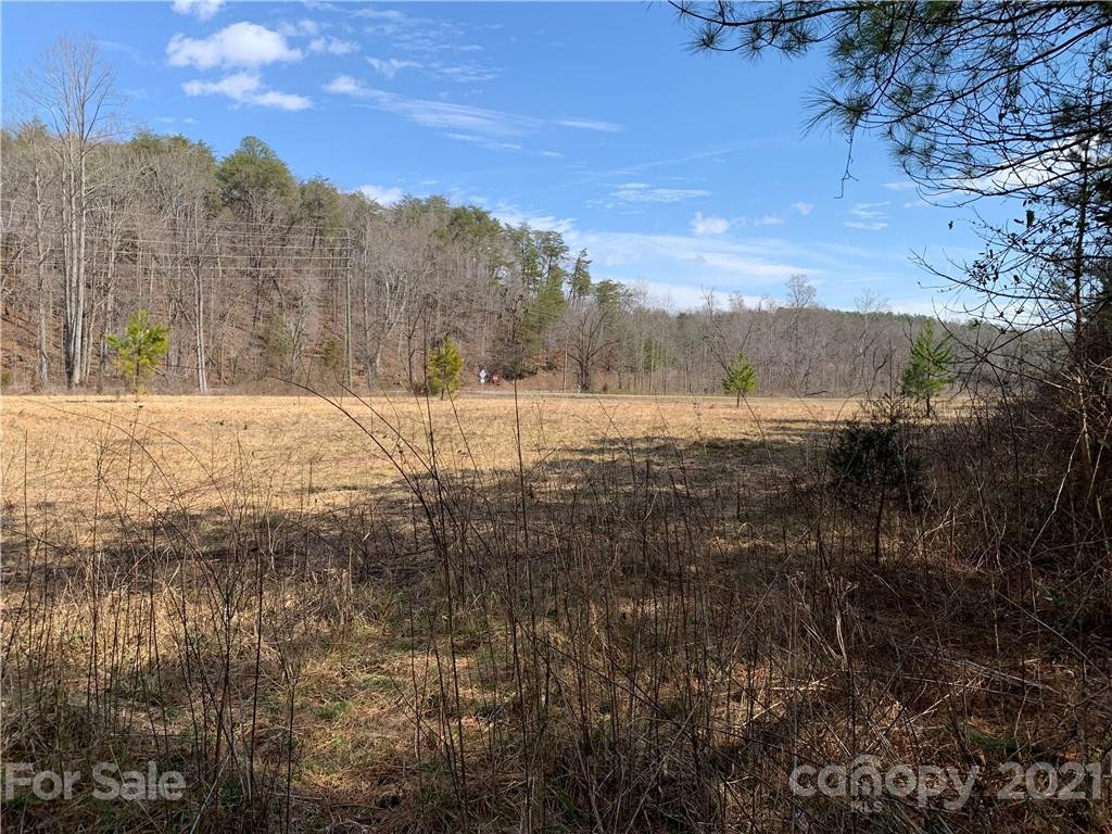 999 Holbert Cove Road, Unit 4 Saluda, NC 28773 - Photo 5 of 14 a view of an lake and a mountain