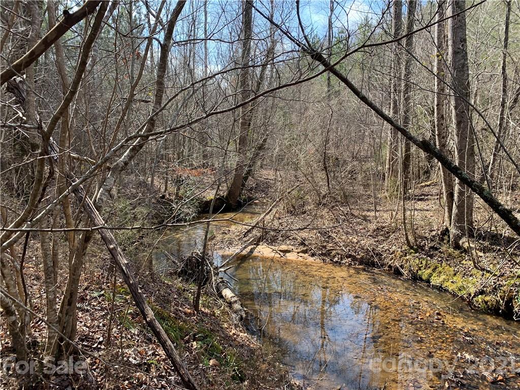 999 Holbert Cove Road, Unit 4 Saluda, NC 28773 - Photo 6 of 14