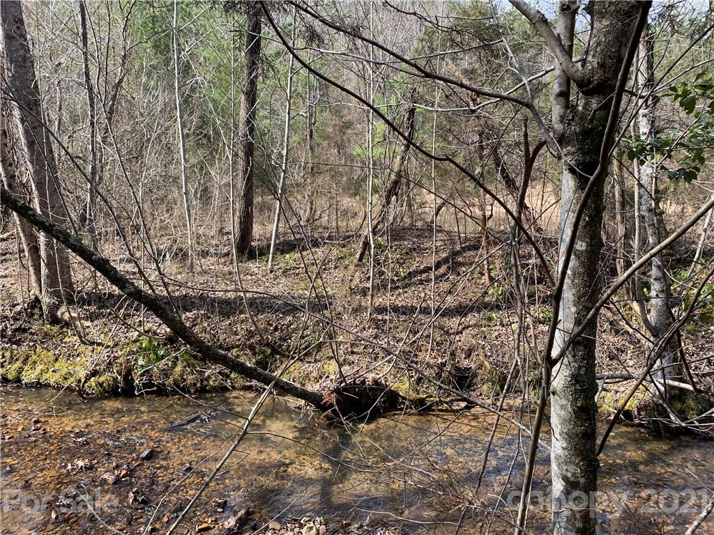 999 Holbert Cove Road, Unit 4 Saluda, NC 28773 - Photo 7 of 14 a backyard of a house with lots of green space