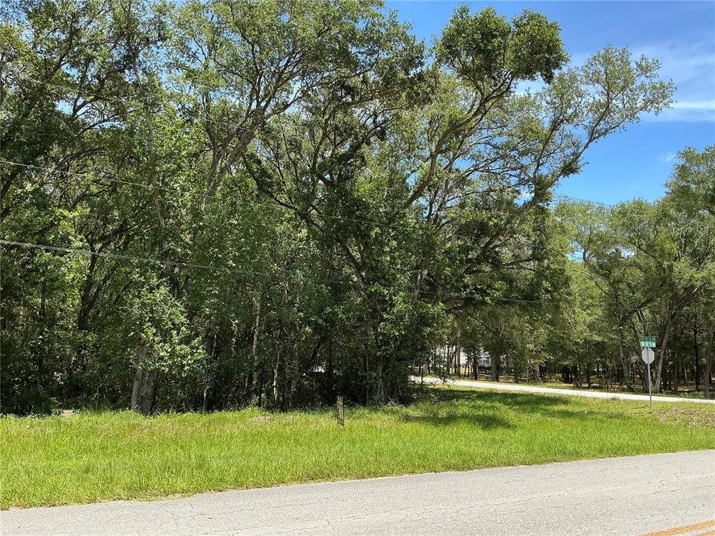 Southwest 102nd St Road Dunnellon, FL 34431 - Photo 4 of 8