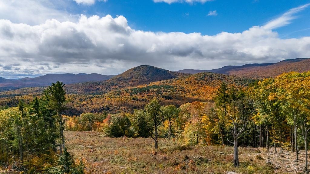 Meadow Road Newbury, NH 03255 - Photo 8 of 15